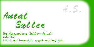 antal suller business card